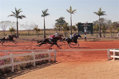 Jockey Club De Sorocaba Potro Vendido No Leil O Do Jockey Vence Na