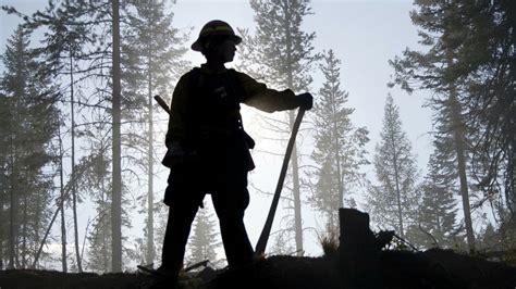 El Estado De M Xico En Llamas Incendios Forestales Han Consumido