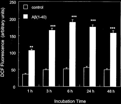 The Non Fibrillar A Is Toxic Via Oxidative Stress Cortical Neurons