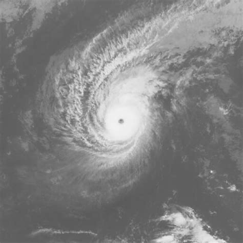 Digital Typhoon Observation Data For Typhoon 201902 At 2019 02 25 02