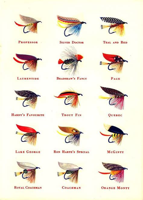 Pin By Peggy Brenner On Flies Of Interest Fly Fishing Fly Fishing