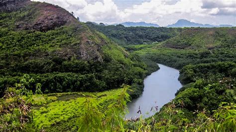 Outdoor Adventure on the Wailua River - Travel To Paradise