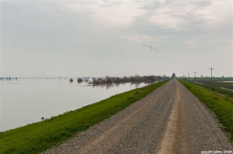 Photographs Of The Flooded Yolo Bypass Kirstin Adams Bimson