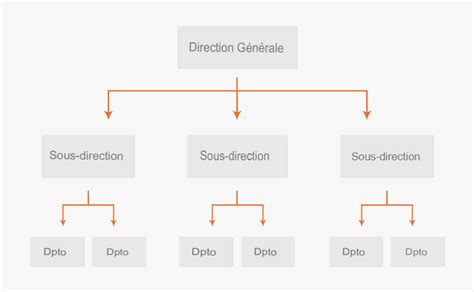 Organigramme Qu est ce que c est caractéristiques types exemples