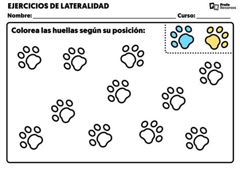 Ejercicios De Lateralidad Para Primaria Fichas Coordinaci N