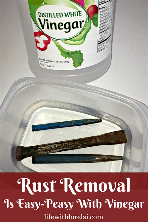 Rust removal is easy peasy with vinegar – Artofit