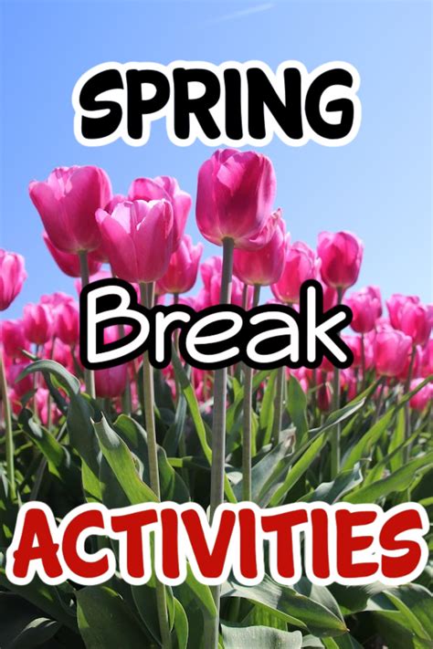 11 Budget-Friendly Spring Break Activities for Families