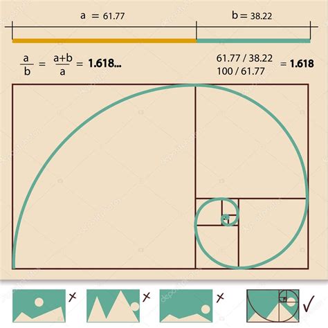 Golden Ratio ⬇ Vector Image By © Chuhail Vector Stock 14194750