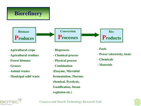 Ppt Promise Of Cassava In Biorefinery Powerpoint Presentation Free