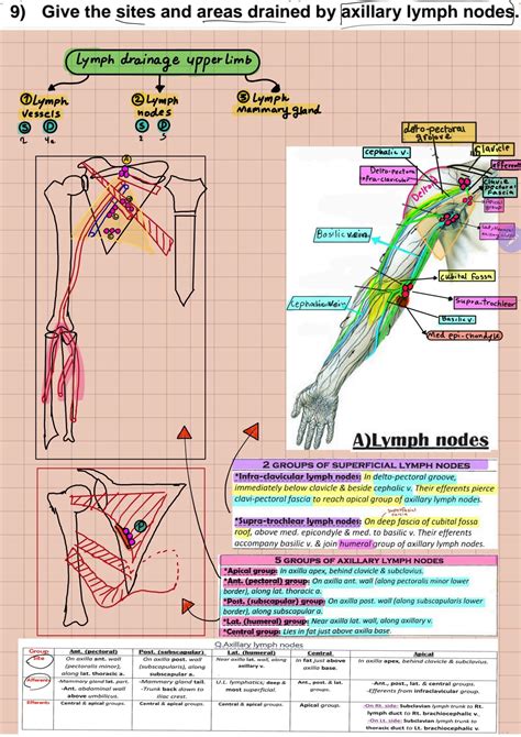 SOLUTION Examen Final Con Respuestas Para La Facultad De Medicina