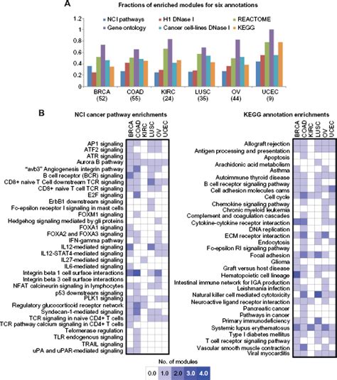 Of Consensus Module Enrichments For NCI Cancer Pathway And KEGG