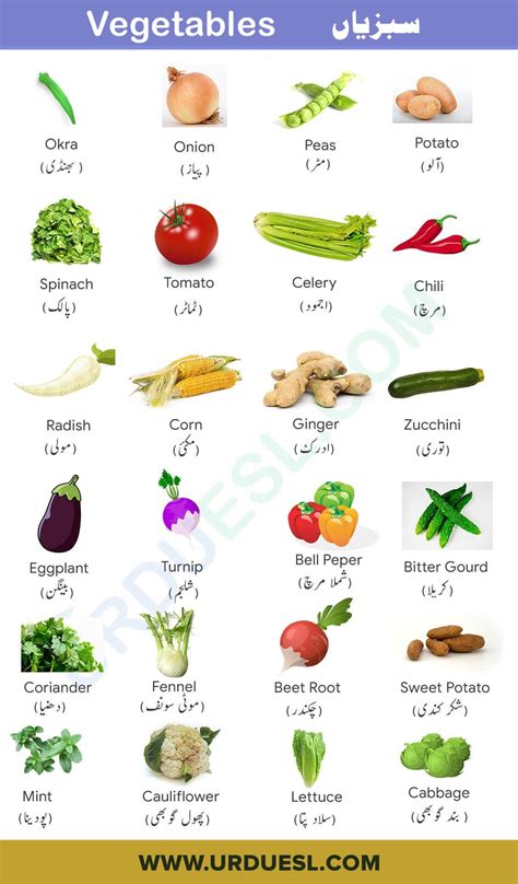 Vegetable Names In English With Pictures Pdf