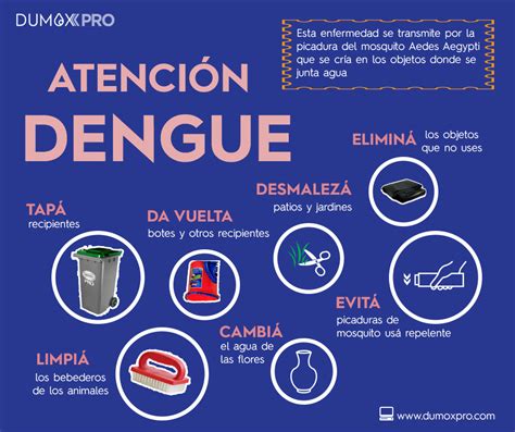 Posibles Soluciones Para El Control Del Dengue