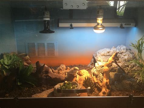 DIY Bearded Dragon Setup What Do You Think R Reptiles