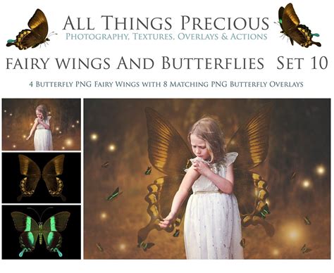 Png Digital Overlays Fairy Wings And Butterflies Set Photoshop