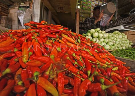 HARGA CABAI DAN TOMAT NAIK ANTARA Foto