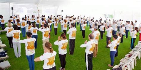 Origen Y Alcance Del ZHINENG QIGONG Equilibrio Y Salud