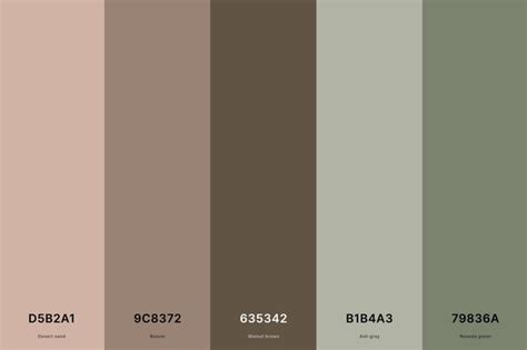 6 Sage Green And Brown Color Palette Color Palette With Desert Sand