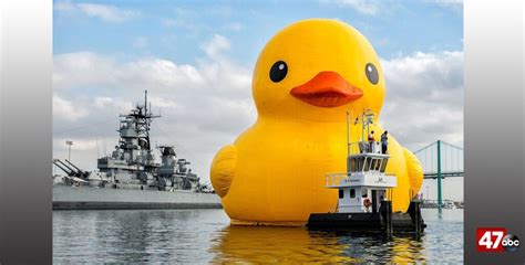 World's Largest Rubber Duck headed to Crisfield - 47abc