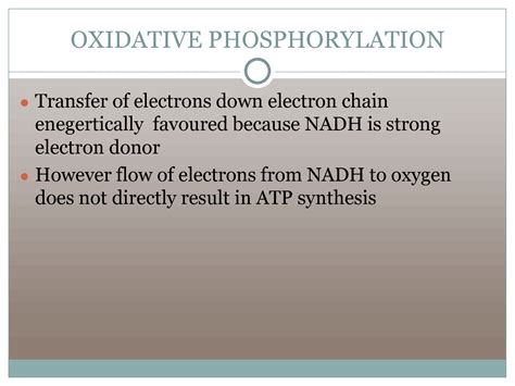 Solution Oxidative Phosphorylation Studypool