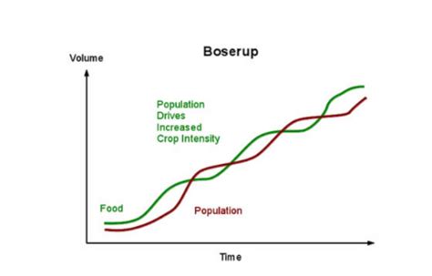 Perbedaan Antara Teori Malthus Dan Boserup Diffexpert