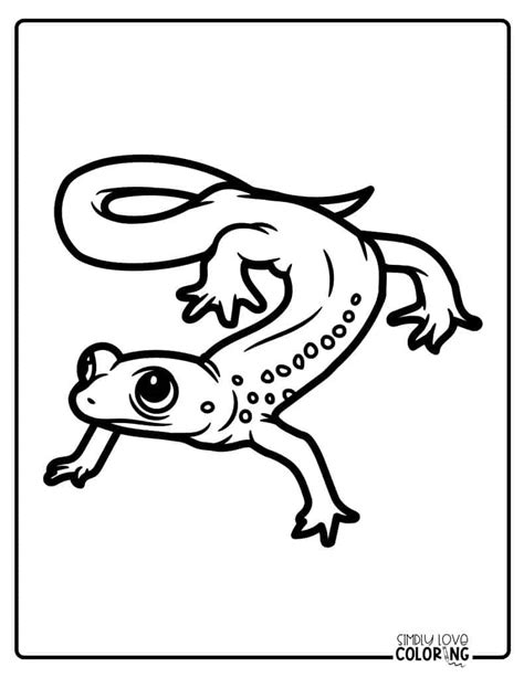 Free Salamander Coloring Pages - Simply Love Coloring