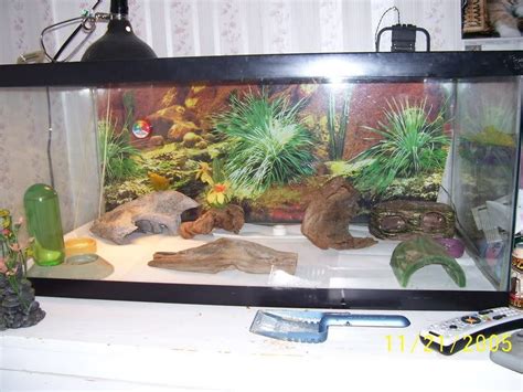 Best 7 Leopard Gecko Habitat/ Terrarium Review | MyPetCareJoy