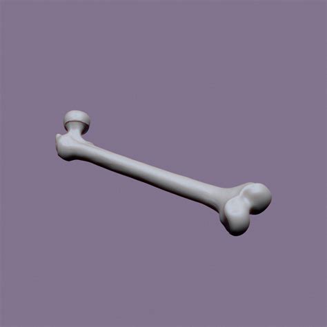 3d Printable Human Femur By Viktoriya Kabanova