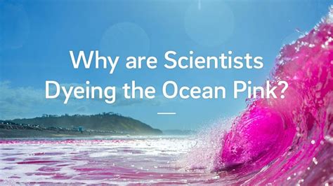 Why Are Scientists Dyeing The Ocean Pink Youtube