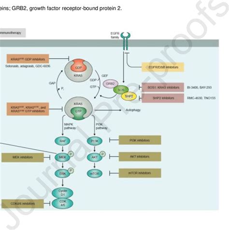 Targeting Kras Mutant Tumors For The Treatment Of Nsclc Download