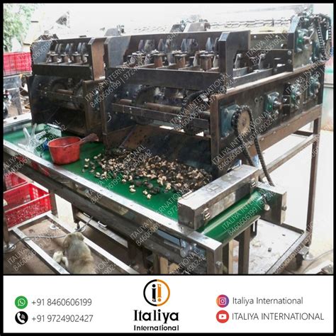 Kaju Shelling Machines Cashew Nut Shelling Machines Latest Price