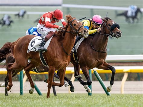 【東京5r新馬戦結果】ドゥラメンテ産駒マルコタージュが接戦制してv 競馬ニュース Netkeiba