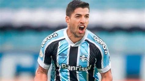 Ao Vivo Acompanhe A Apresentação Oficial De Luis Suárez No Grêmio