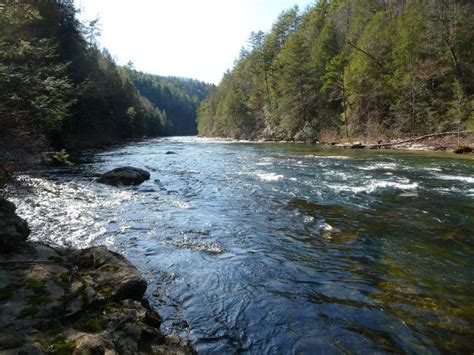 13 Breathtaking Natural Retreats In South Carolina Where Time Stands Still