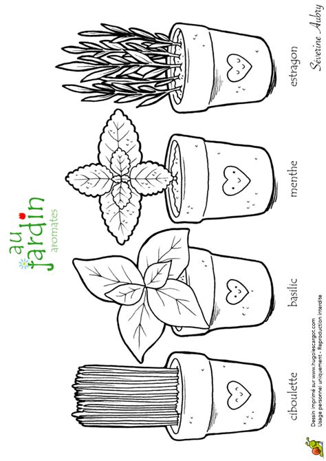 Pingl Sur Coloriages De Fleurs Et Nature