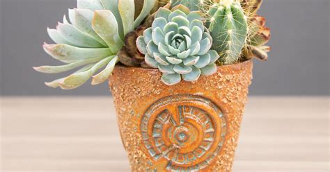 Choosing The Right Pot For Your Succulents Succulents And Sunshine