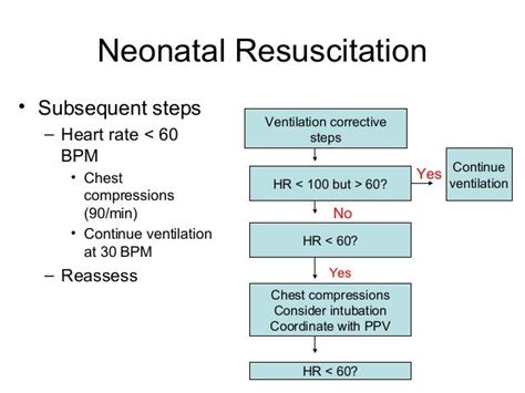 Neonatal Resuscitation Dr Wylie 7 17 14