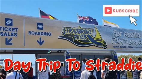 Ultimate North Stradbroke Island Day Trip Stradbroke Flyer Experience