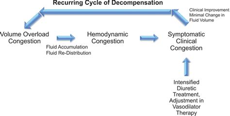 Fluid Volume Overload And Congestion In Heart Failure Circulation