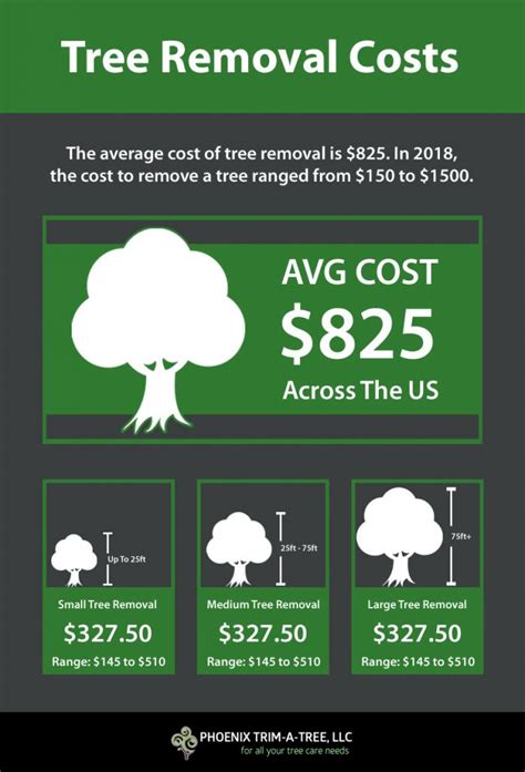 How Much Does It Cost To Cut Down A Very Large Tree At Grace Greene Blog