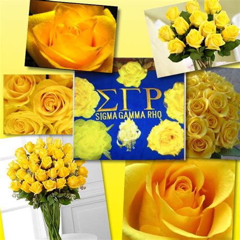 22daysofsigma Day 11 Yellow Tea Rose Day The Official Flower Of