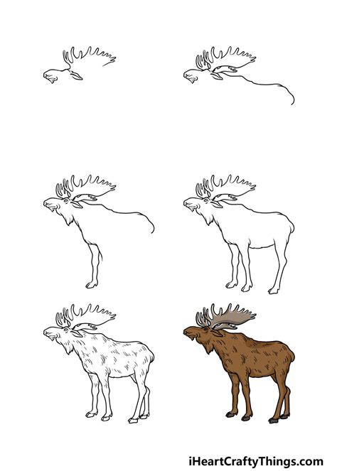 Moose Drawing - How To Draw A Moose Step By Step