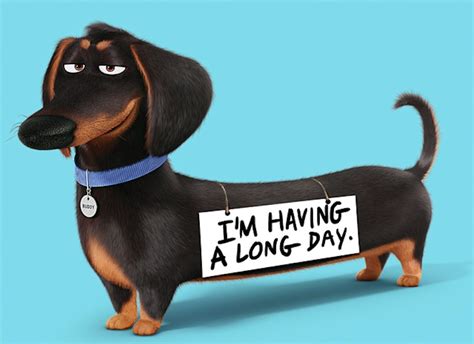 Secret Life of Pets - Dogs - K9 Research Lab