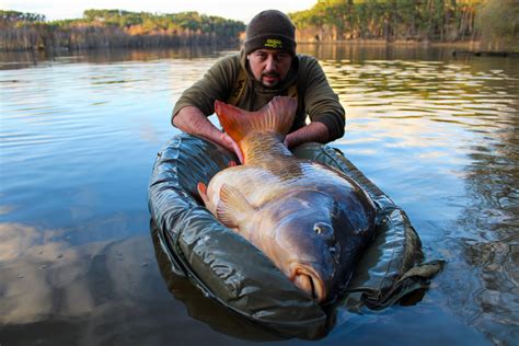 The Biggest Carp Ever Caught In The World