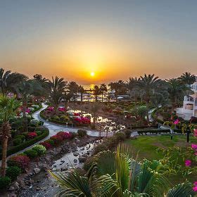 Hotel Movenpick Resort Spa El Gouna Egipt Hurghada Na Wakacje Pl