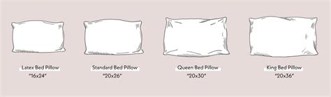 Pillow Insert Size Guide Chloe Olive, 55% OFF