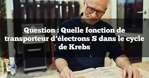 Question Quelle Fonction De Transporteur D Lectrons S Dans Le Cycle