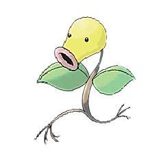 Bellsprout - CP, Map, Evolution, Attacks, Locations - for Pokemon Go