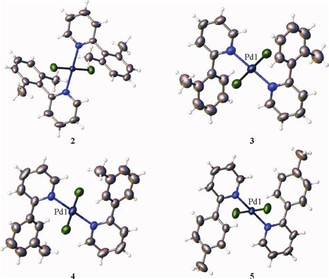 Ortep Diagram Of Complexes 2 3 4 And 5 Download Scientific Diagram