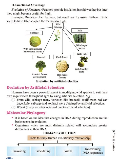 Class Science Notes For Heredity And Evolution Pdf Study